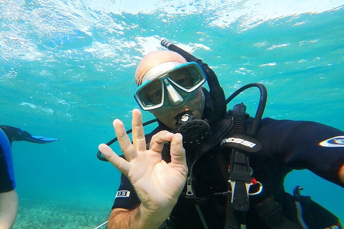 Discover Small Group Scuba Diving Experience in Nea Makri, Athens - First-time Scuba in Nea Makri: why this spot near Athens works