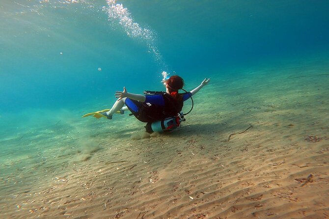 Discover Small Group Scuba Diving Experience in Nea Makri, Athens - Meeting point, timing, and how to arrive prepared