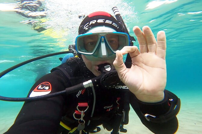 Discover Small Group Scuba Diving Experience in Nea Makri, Athens - What happens at the start: theory, equipment, and safety basics