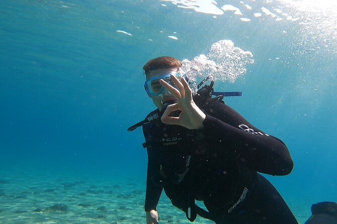 Discover Small Group Scuba Diving Experience in Nea Makri, Athens - Why the instructor style matters: Dimitri, patient coaching, and trust