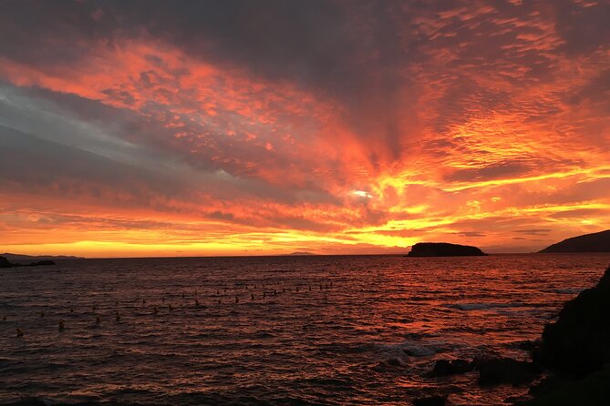 Enjoy Cape Sounio Private Majestic Sunset With Seaside Dinner - The post-Temple window: wine, views, and a calmer sunset rhythm