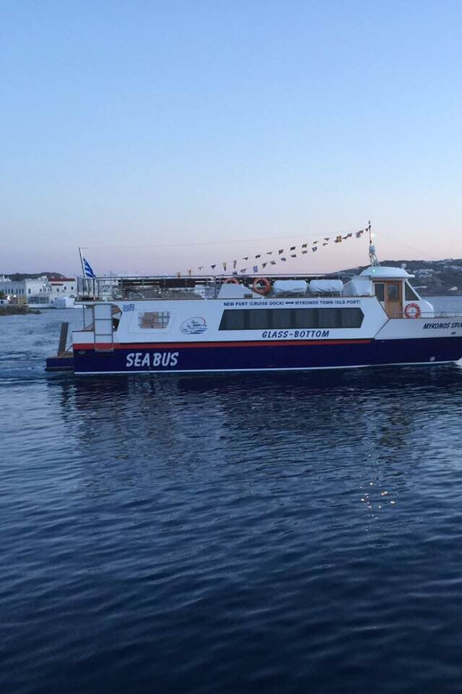 Explore Delos & Rhenia - Rhenia swimming time, plus what to expect in the water