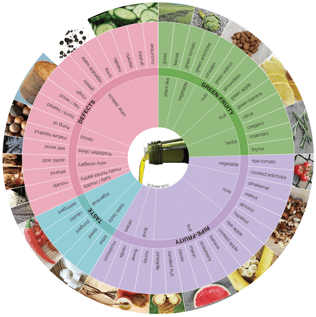 Extra Virgin Olive Oil Experience with Wine & Herbs - Meeting the Wine and Olive Oil Bar, then settling in fast