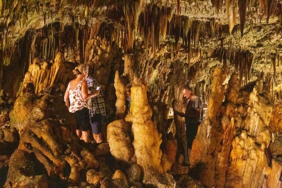 From Argostoli: Melissani Lake & Drogarati Caves Tour - Key highlights worth clocking