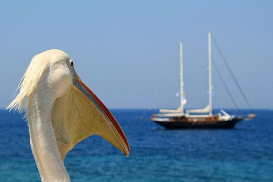 From Athens: 2-Day Santorini and Mykonos Trip - The 6-Hour Ferry Ride To Santorini: Caldera Views Waiting Ahead