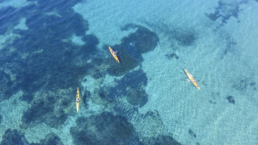 From Athens: Cape Sounion Guided Kayaking Tour with Lunch - Lunch at the Seaside Taverna: What the Food Is Really Like