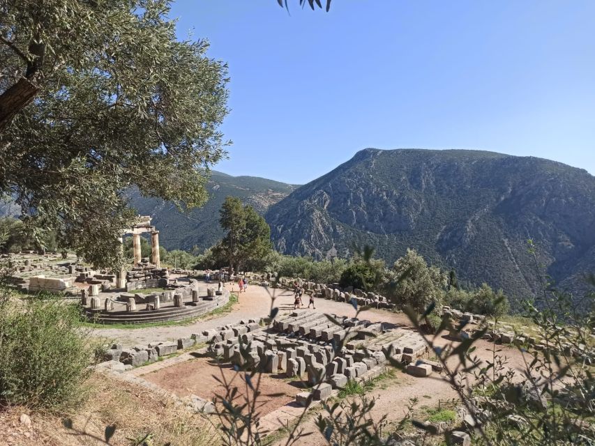 From Athens: Delphi Full Day V.R. Audio Guided Tour - On the Bus: Driver, On-Board Guide, and How You Actually Learn