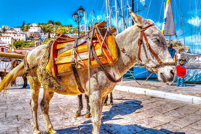 From Athens: Hydra, Poros, and Aegina Day Cruise with Lunch - Marina Kalithea, pickup options, and how the day starts