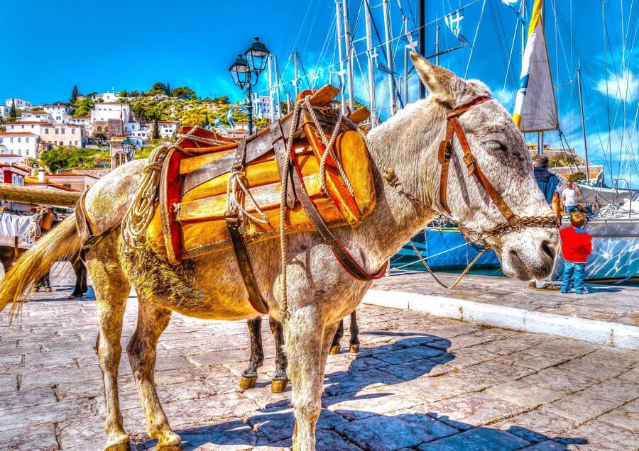 From Athens: Saronic Islands Full-Day Cruise with VIP Seats - Aegina’s Two-Hour Port Stay: Pistachios, Sandy Beaches, and Afea