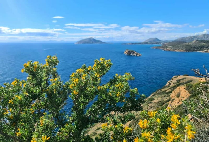 From Athens: Temple of Poseidon & Cape Sounion Half-Day Tour - From Athens to Cape Sounion on a relaxed coach