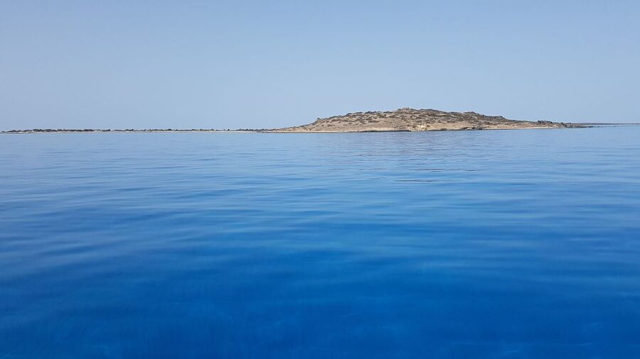 From Chania Area: Day Trip to Elafonisi Island by Bus - The practical coffee break, plus a honey stop if it’s scheduled