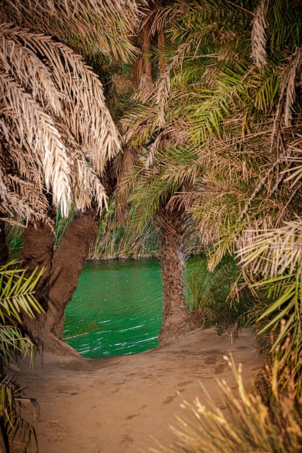 From Chania: Day Trip to Preveli Beach & Damnoni Beach - Should you book it?