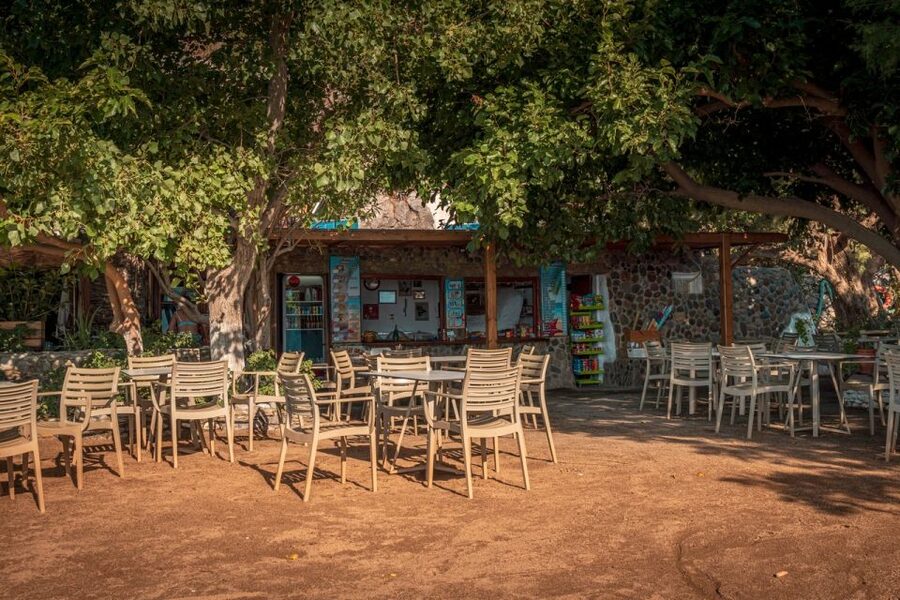 From Chania: Day Trip to Preveli Beach & Damnoni Beach - Preveli Palm Beach: why this south-coast stop feels so different