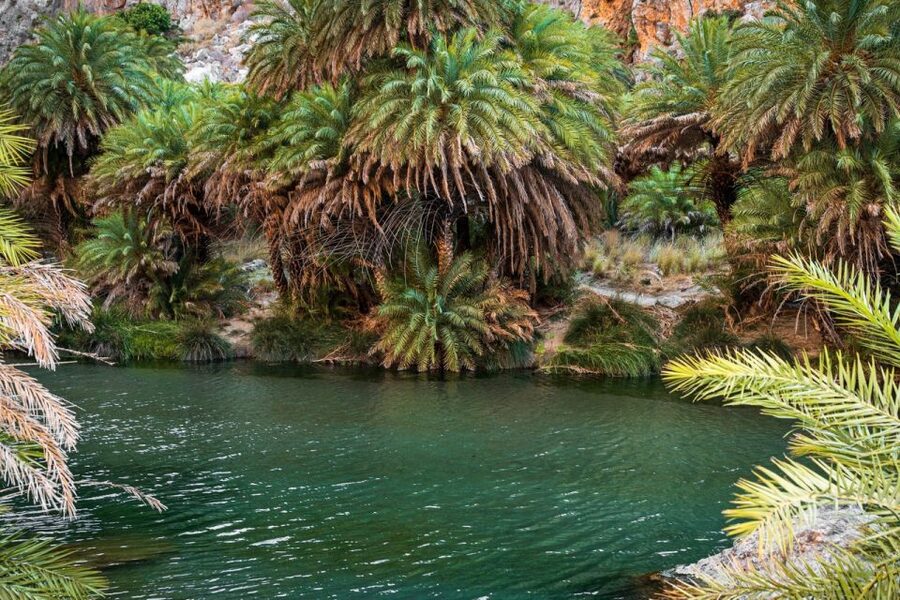 From Chania: Day Trip to Preveli Beach & Damnoni Beach - Preveli time on the ground: 2.5 hours to swim and snorkel