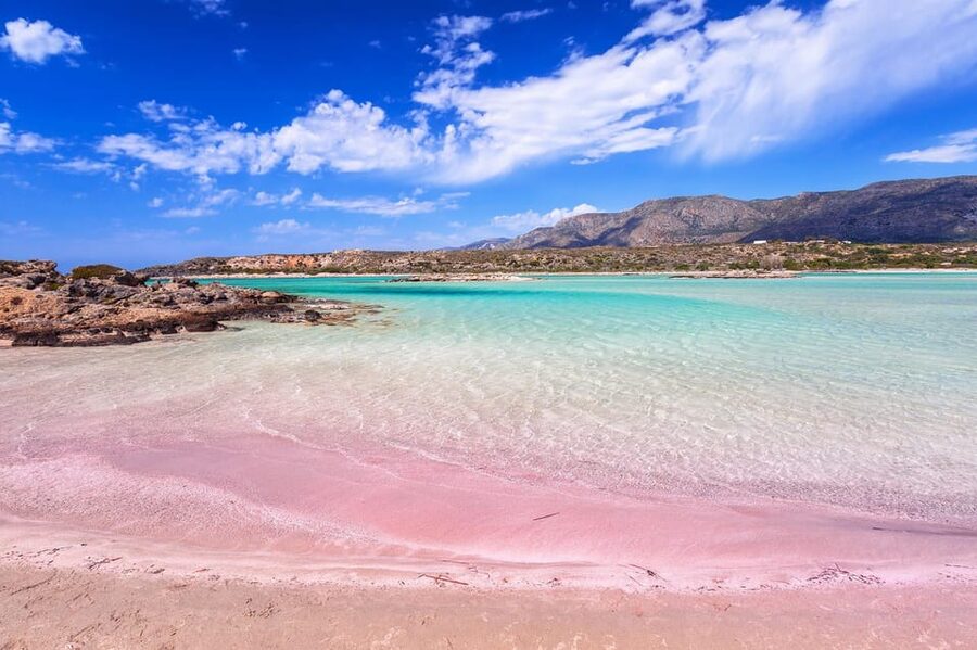 From Chania: Elafonisi Island Day Tour by Bus - Who this Elafonisi tour is best for