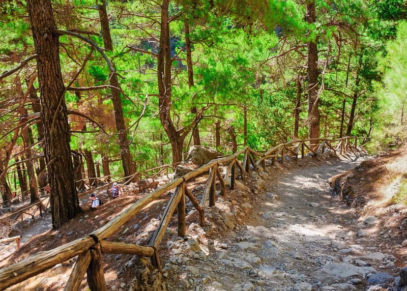 From Chania: Full-Day Samaria Gorge Trek Excursion & Guide - Guide style and safety: the practical kind of support that matters
