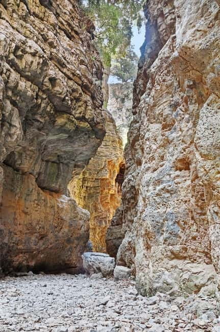 From Chania:Imbros Gorge Tour with Professional Hiking Guide - The Imbros Gorge Hike: A Downhill Walk That Still Demands Attention