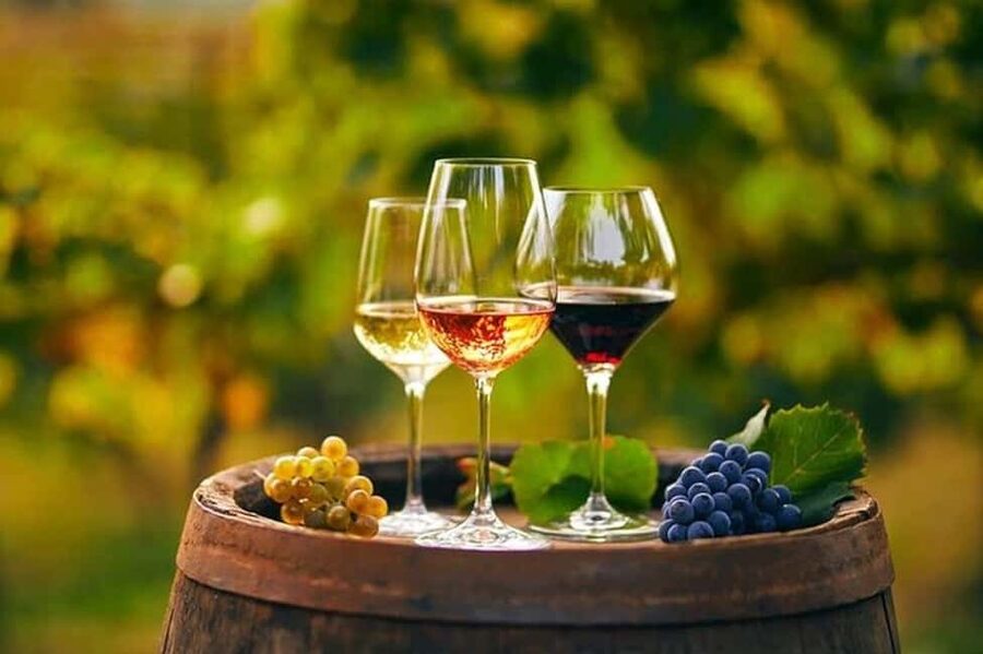 From Chania: Olive Oil, Wine, Cheese & Honey Tasting Tour - Vouves Olive Tree: the iconic stop that makes everything else click