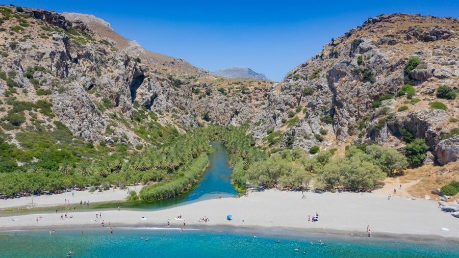 From Chania: Preveli Palm Beach Day Tour - Best fit: who should book this tour