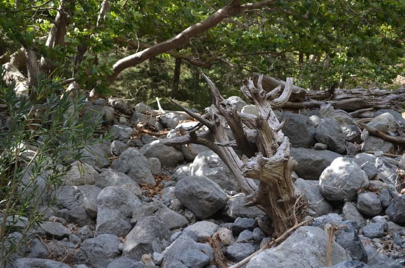 From Chania: Samaria Gorge Hike with Local Mountain Guide - Price and what the €36 ticket really covers