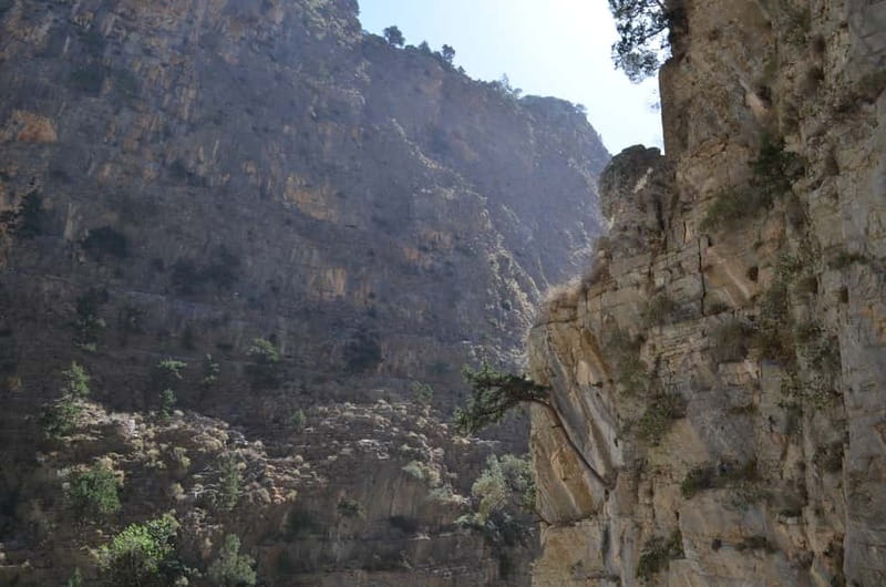 From Chania: Samaria Gorge Hike with Local Mountain Guide - Why Samaria Gorge is a must-do from Chania