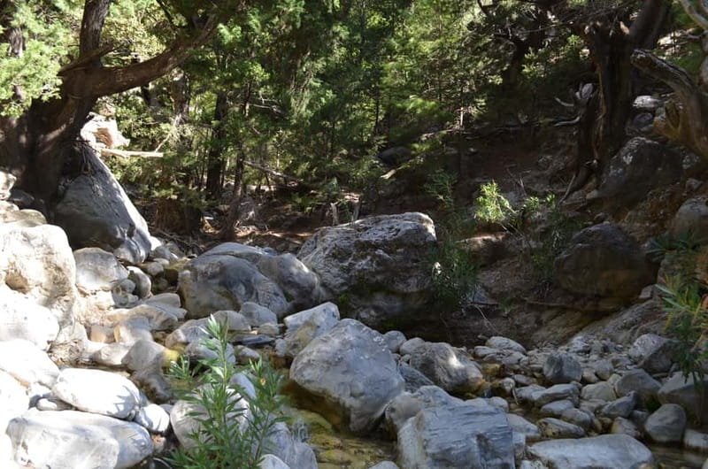 From Chania: Samaria Gorge Hike with Local Mountain Guide - Entering at Xyloskalo: what the hike is really like