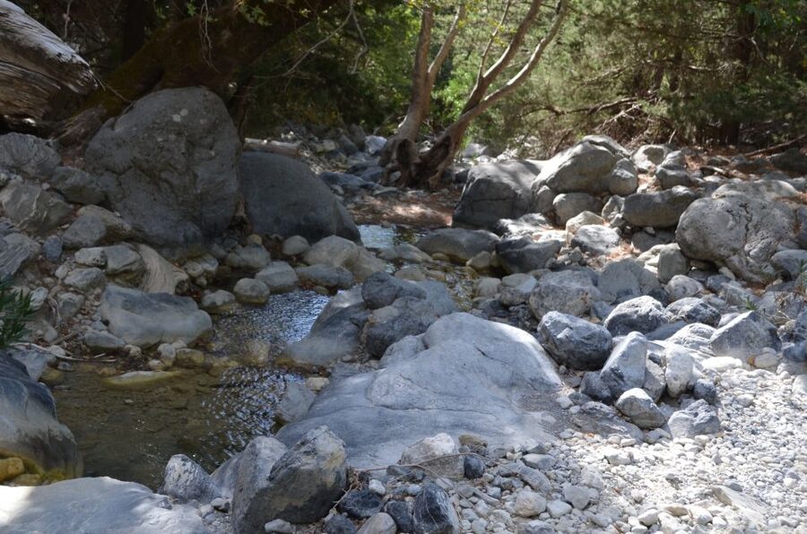 From Chania: Samaria Gorge Hike with Local Mountain Guide - Nature and photos: rock formations, endemic plants, and the Kri-Kri