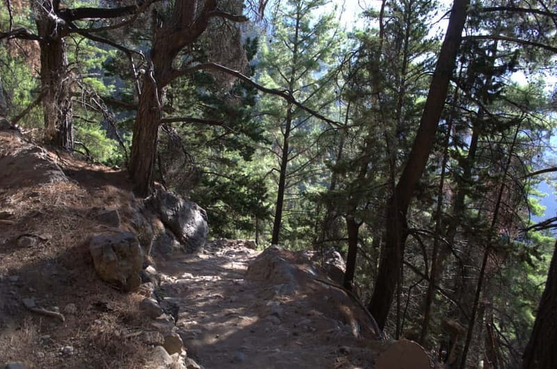 From Chania: Samaria Gorge Hike with Local Mountain Guide - Hydration and timing inside the gorge