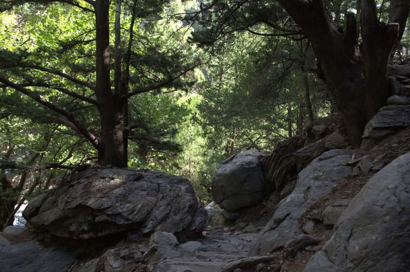 From Chania: Samaria Gorge Hike with Local Mountain Guide - The big finish at Agia Roumeli: swim, lunch, and decompress