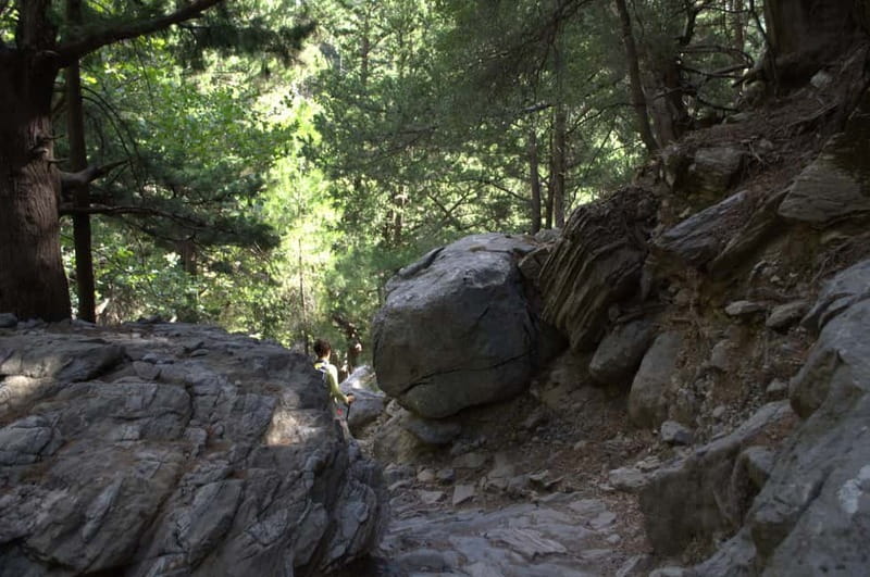 From Chania: Samaria Gorge Hike with Local Mountain Guide - Ferry to Sougia and the return ride back to Chania