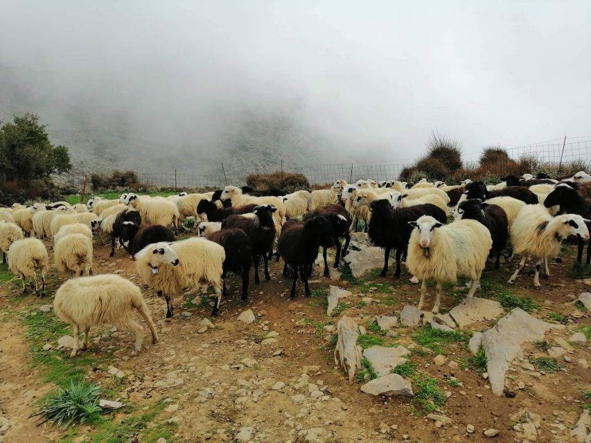 From Chania: White Mountains Land Rover Safari - Key highlights worth your time