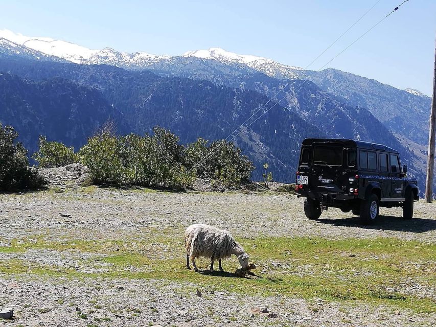 From Chania: White Mountains Land Rover Safari - Getting out the door: pickup, group size, and the Land Rover reality