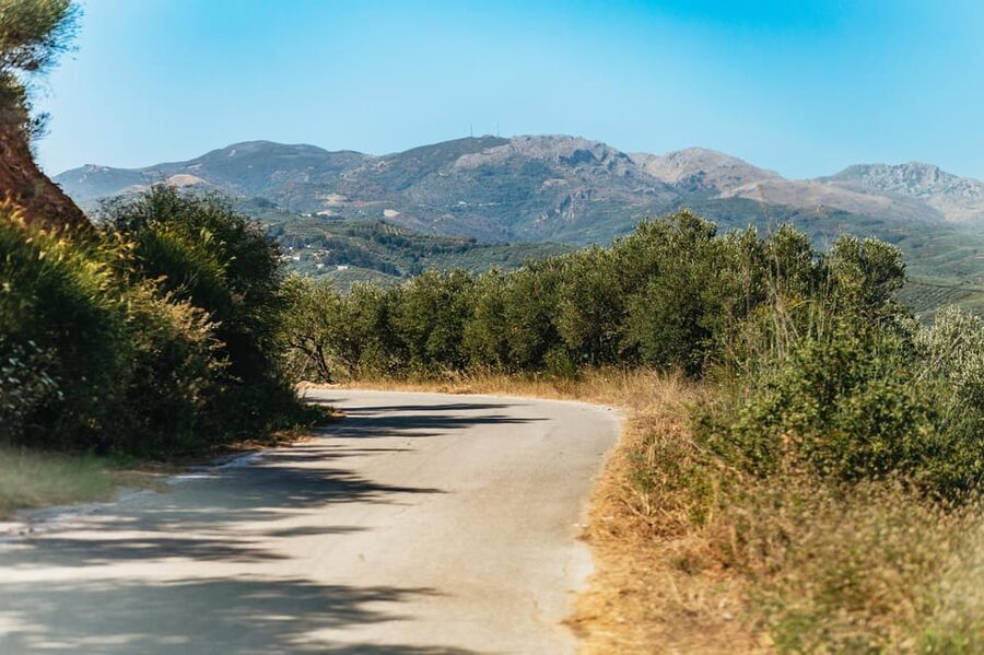 From Chania: Wine and Olive Oil Tasting Tour with Snacks - Price and value: is $141 per person a fair deal?
