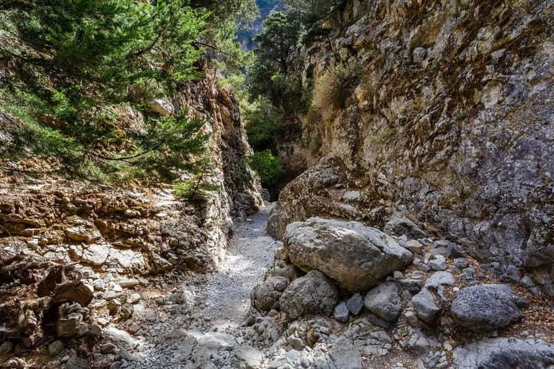 From Georgioupoli: Easy Hiking Day-Trip to Imbros Gorge - The Pickup System Makes It Feel Effortless