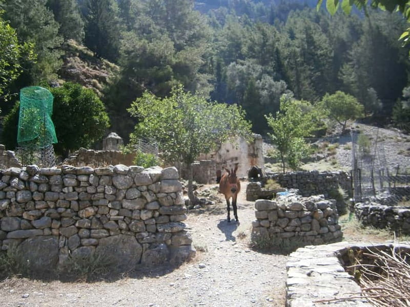 From Georgioupolis: Roundtrip Transfer to Samaria Gorge - Entering Samaria Gorge: From 1200 m to the Iron Gates