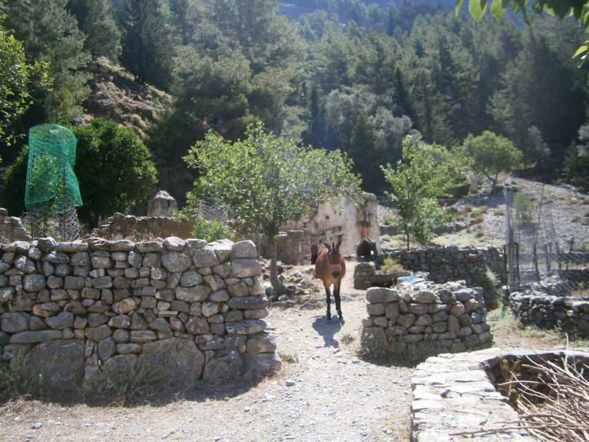 From Georgioupolis: Roundtrip Transfer to Samaria Gorge - Water, Springs, and Toilets: Make the Day Easier