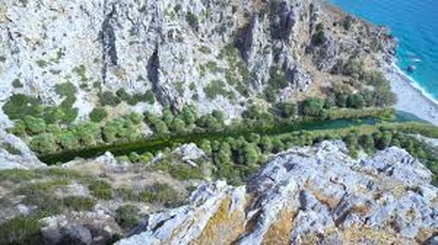 From Herakleion: Day Trip to Preveli Palm River Beach - Kourtaliotis Gorge and the River Preveli: The Walk That Makes It More Than a Beach Day