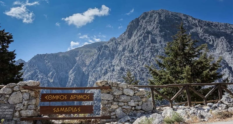 From Heraklion,Agia Pelagia,Malia: Samaria Gorge Guided Trip - Price and value: why this costs what it costs