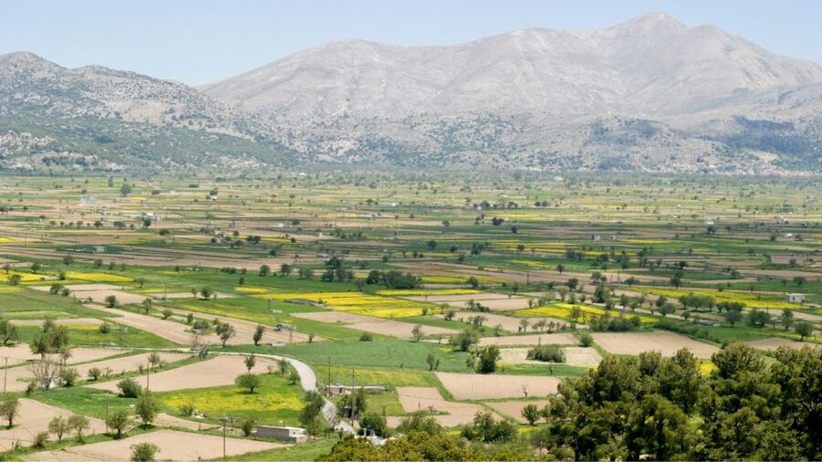 From Heraklion: Lasithi Plateau, Tzermiado Village, Ceramics - Psychro ceramics workshop: live pottery-making you can buy from