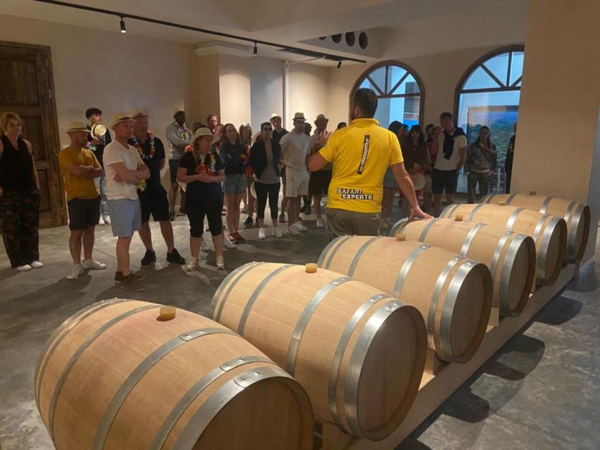 From Heraklion: Matala Beach - Caves & winery Full Day tour - What to bring (so the day feels easy, not annoying)