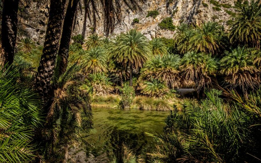 From Heraklion: Preveli Tropical Beach & Palm Forest Hike - Why the river-meets-sea setting changes everything