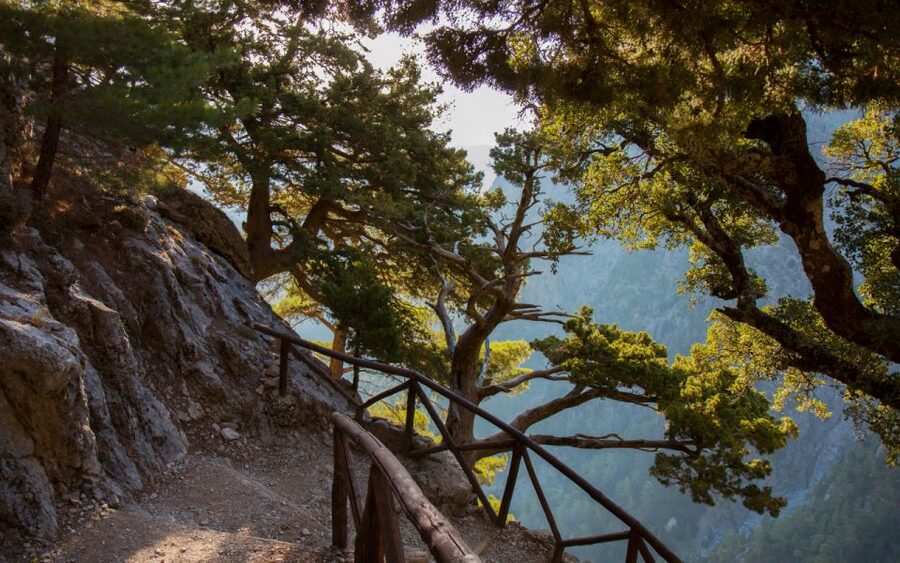 From Heraklion: Samaria Gorge Full-Day Guided Hiking Tour - Boat to Sfakia, then the long bus return