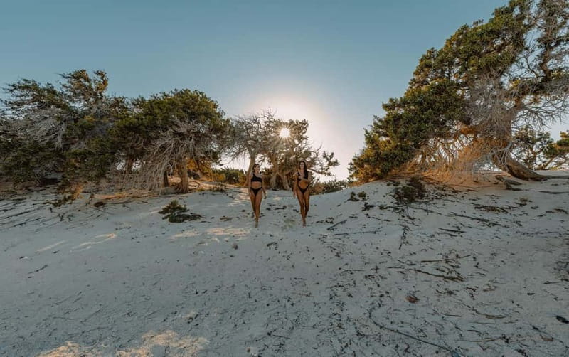 From Ierapetra: Chrissi Island Yacht Cruise with Lunch - Chrissi’s cedar forest walk: shade, paths, and ecosystem time