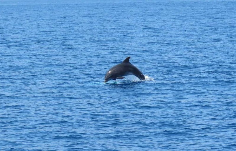 From Kos:A full day cruise in the newest luxury vessel! - How the schedule works: sightseeing time plus real swim blocks