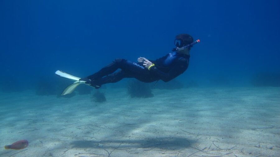 From Kos: Pserimos Island Snorkeling Cruise by Diving Boat - Kos Harbour logistics and the half-day timing that works