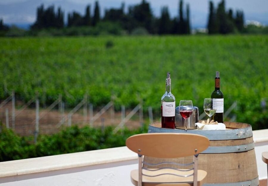 From Kos: Tour of 2 Wineries with Wine Tasting & Small Bites - The Views Part: South-Coast Cruising and Vineyard Topography