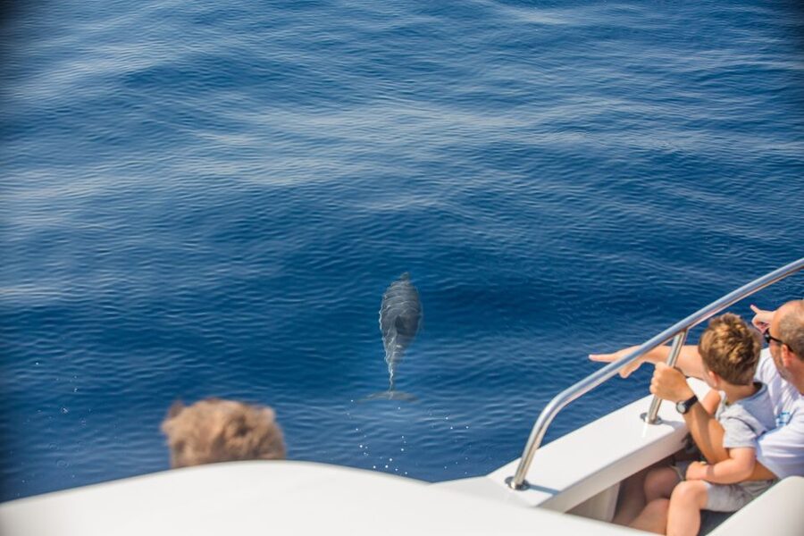 From Lefkimmi: Paxos, Antipaxos & Blue Caves Speedboat Tour - Key things I’d clock before you go