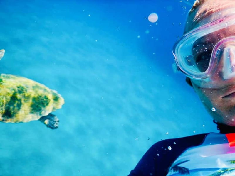 From Milopotas: Ios Island Scenic Snorkeling Cruise - Logistics that make or break the experience