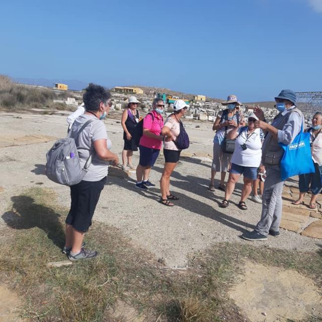 From Mykonos: Ancient Delos Tour - What it’s like on the ground: walking, sun, and group energy