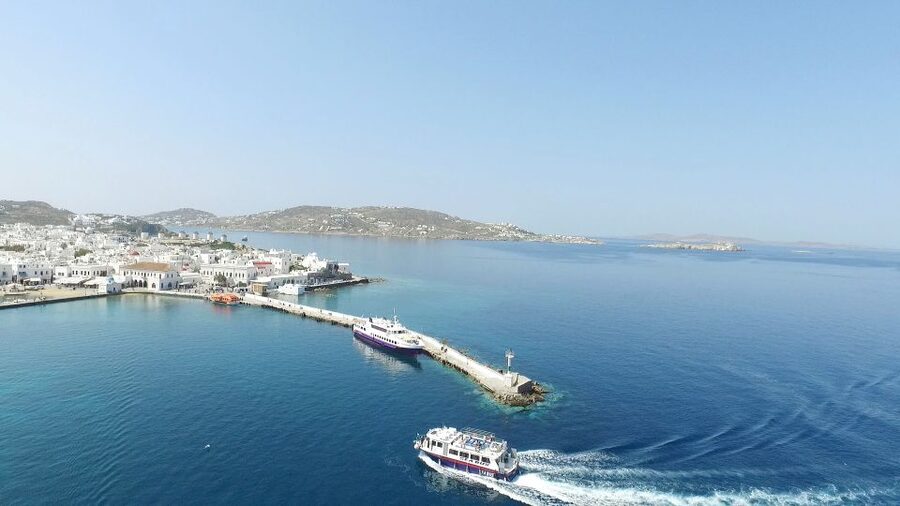 From Mykonos Cruise Port: Afternoon Delos Guided Tour - The Main Street to the Sanctuary Zone: Apollo and Big-Name Monuments